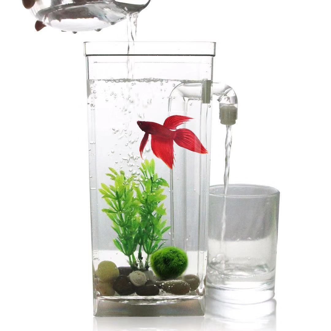 Betta Fish Tank - Lazy Free Water Change Desktop Fish