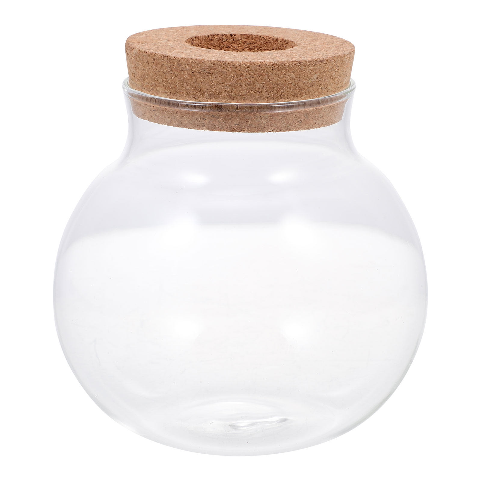 Aquarium Fish Keeping - Small Micro Landscaping Terrarium Bottle Moss