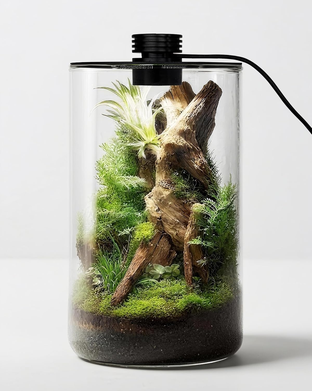 Betta Fish Tank - Indoor Glass Terrarium with Grow Light,