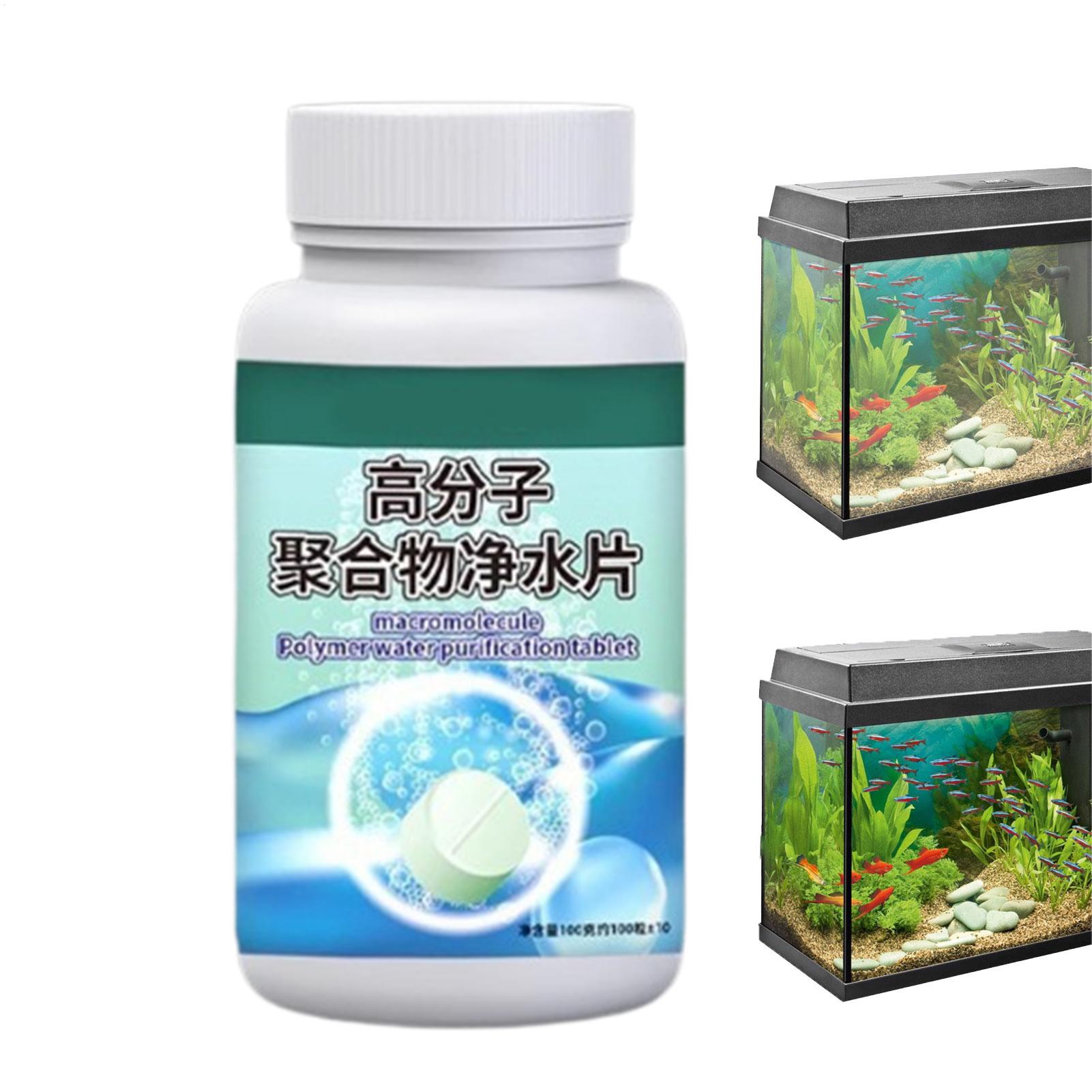 Fish Can Algae Remover Aquariu - Aquarium Fish Betta ulasan dan harga