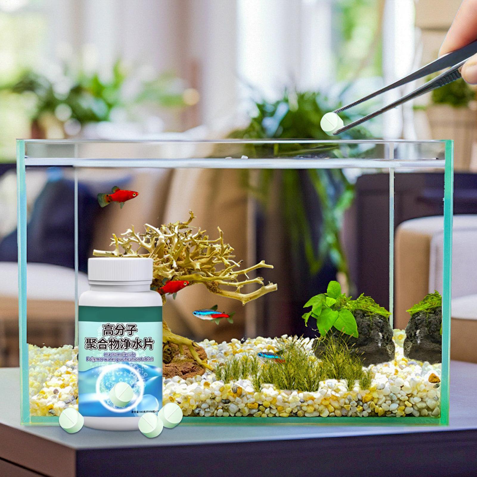 Fish Can Algae Remover Aquariu - Aquarium Fish Betta ulasan dan harga