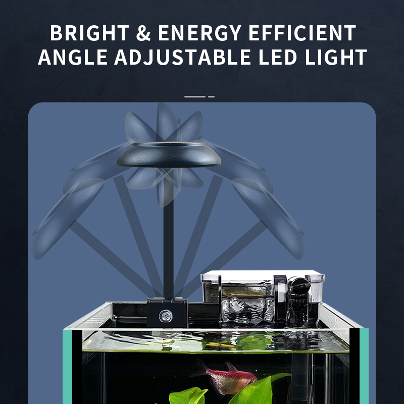 New Ultra-Clear Glass Betta Fi - Betta Fish Tank ulasan dan harga