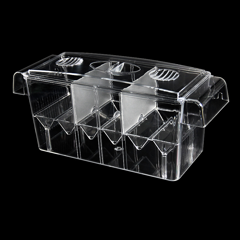 Clear Aquarium Fish Tank Isola - Betta Fish Tank ulasan dan harga