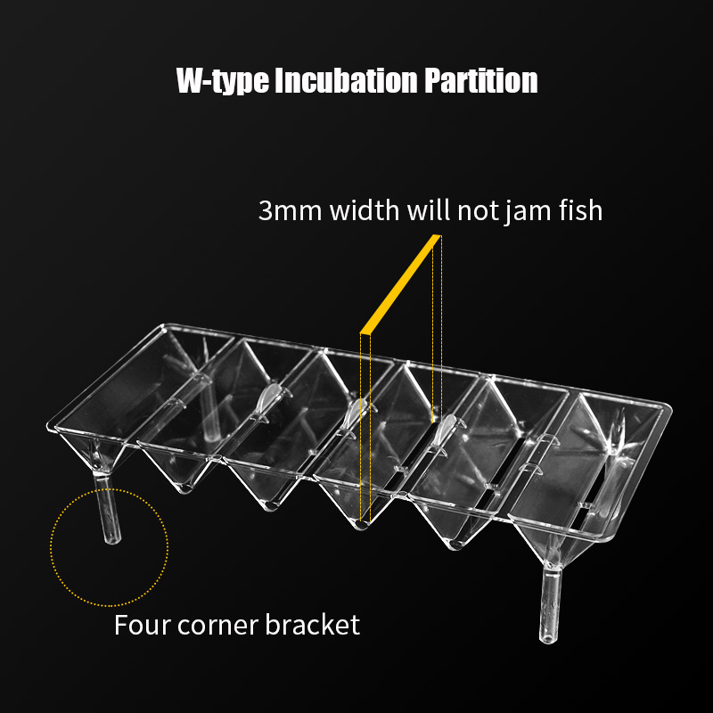 Clear Aquarium Fish Tank Isola - Betta Fish Tank ulasan dan harga