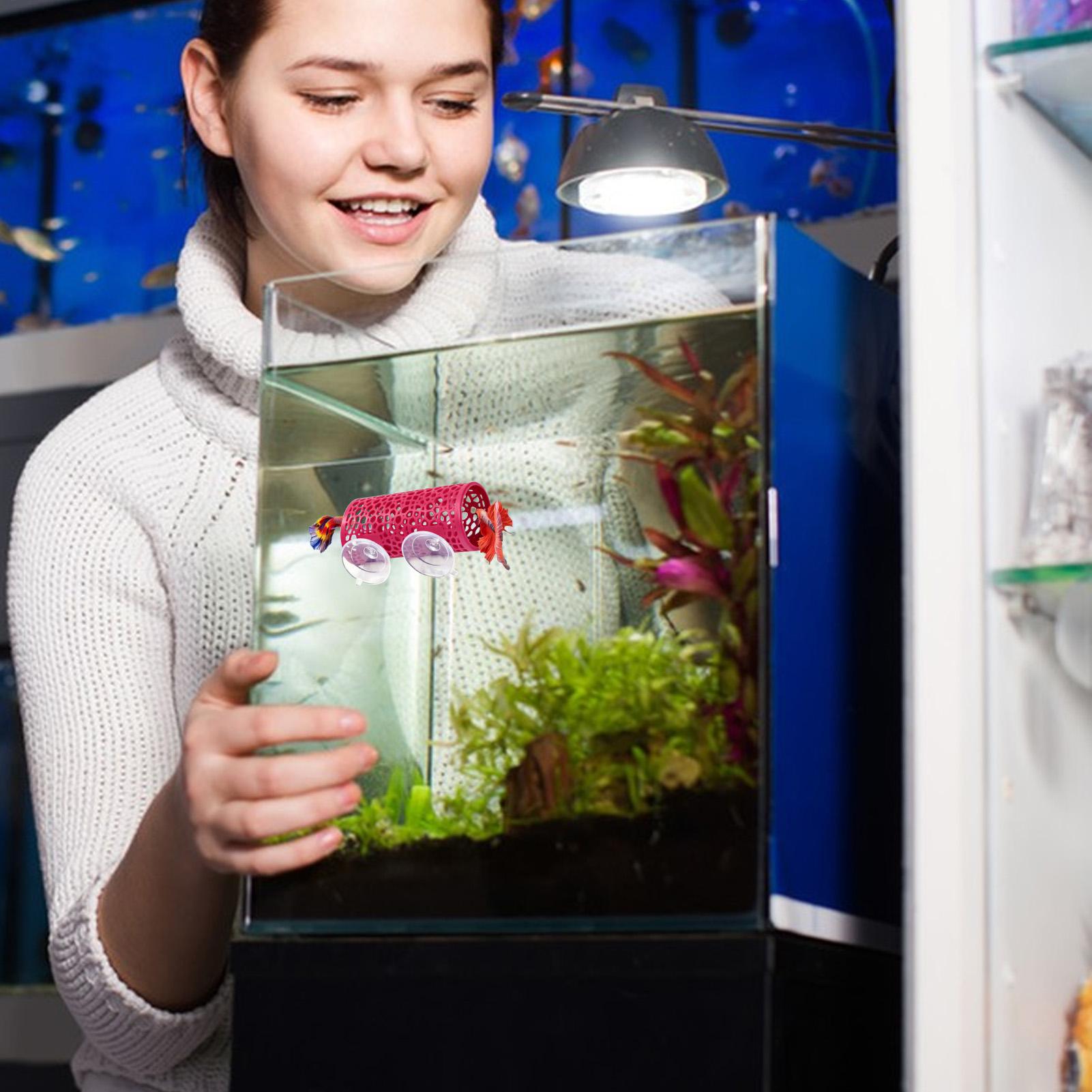 Betta Habitat Resting Shelter  - Aquarium Fish Betta ulasan dan harga