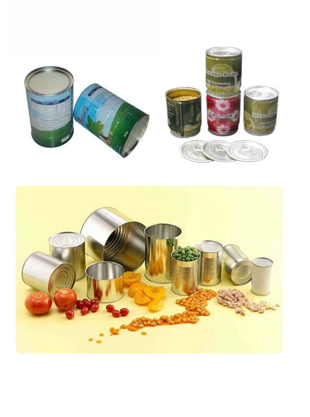 Canned Tuna Fish Food Can Maki - Fish Food ulasan dan harga