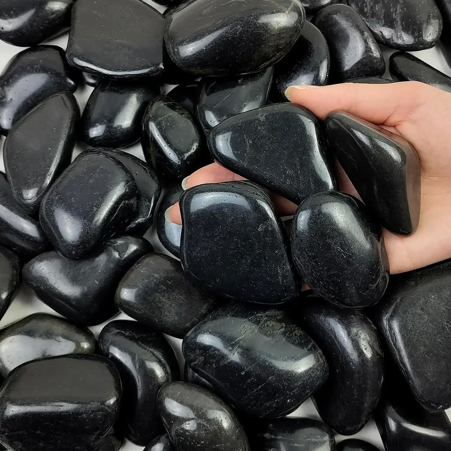 40 lbs Black River Rocks for L - Aquarium Plants ulasan dan harga