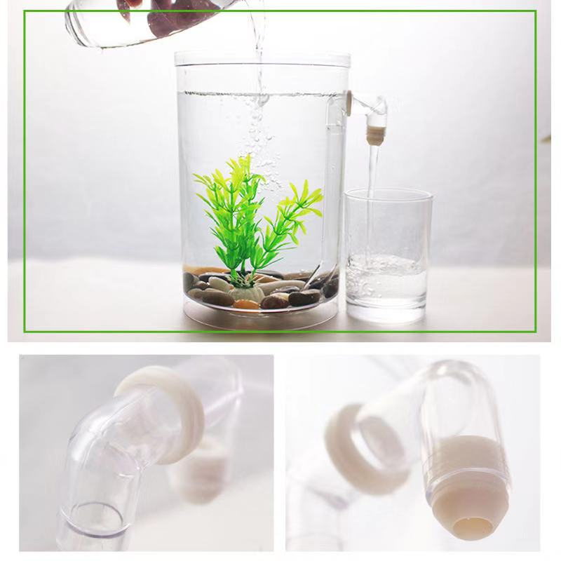 Lazy Free Water Change Desktop - Betta Fish Tank ulasan dan harga