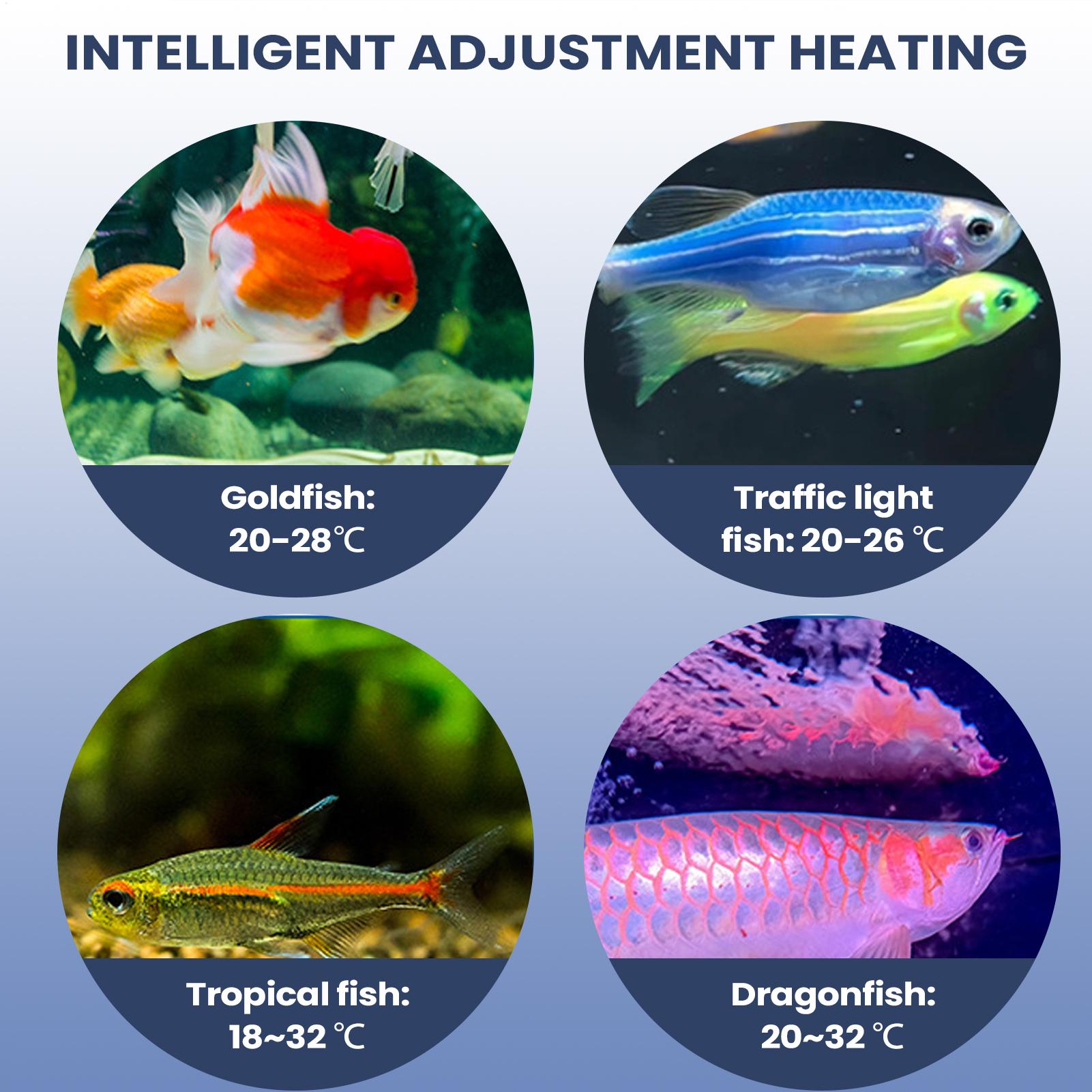 Aquarium Air Pump Portable Aqu - Aquarium Pump ulasan dan harga