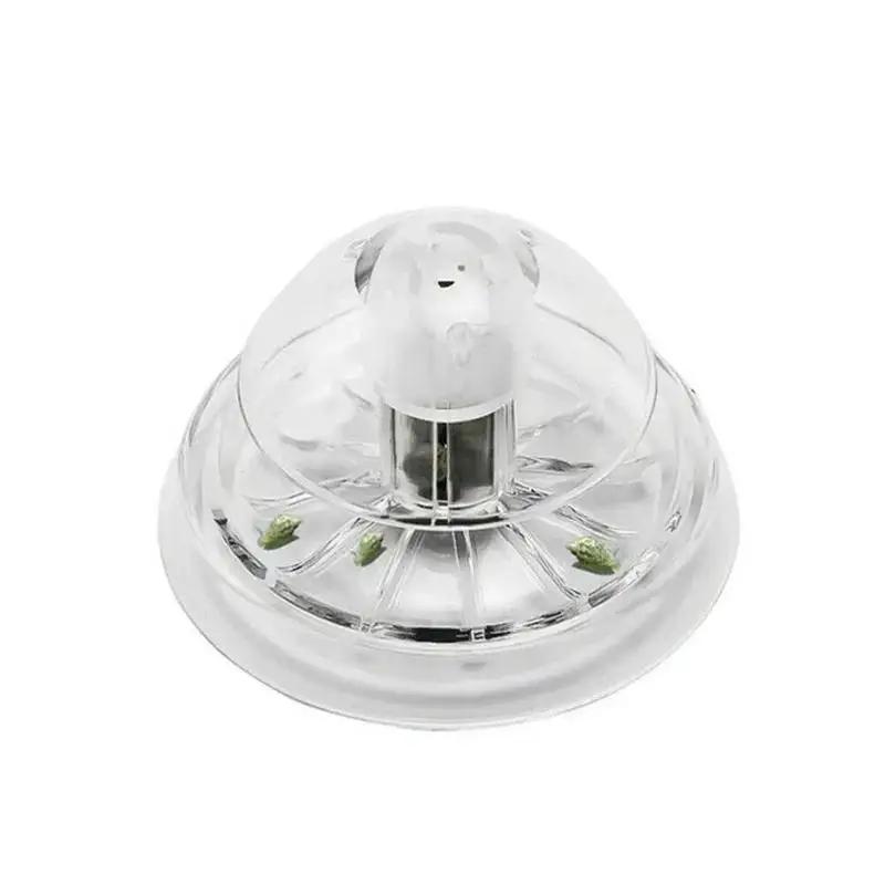 2026 New 6/8CM Clear Plastic S - Aquarium Plants ulasan dan harga