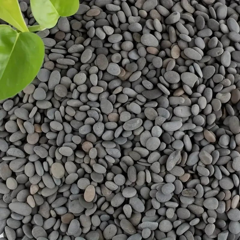 20Pcs Natural River Rocks Smoo - Fish Tank Gravel ulasan dan harga