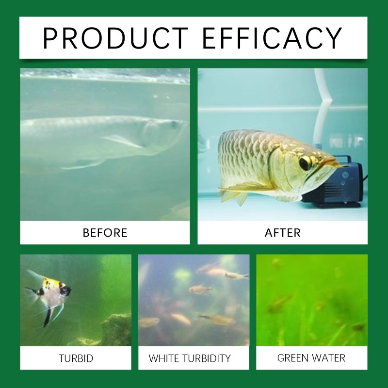 Fish Tank Water Purification T - Aquarium Fish Keeping ulasan dan harga