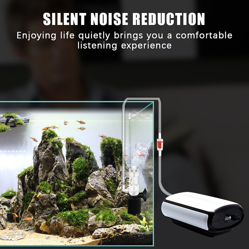 ♬Air Driven Aquarium Sponge Fi - Aquarium Fish Betta ulasan dan harga