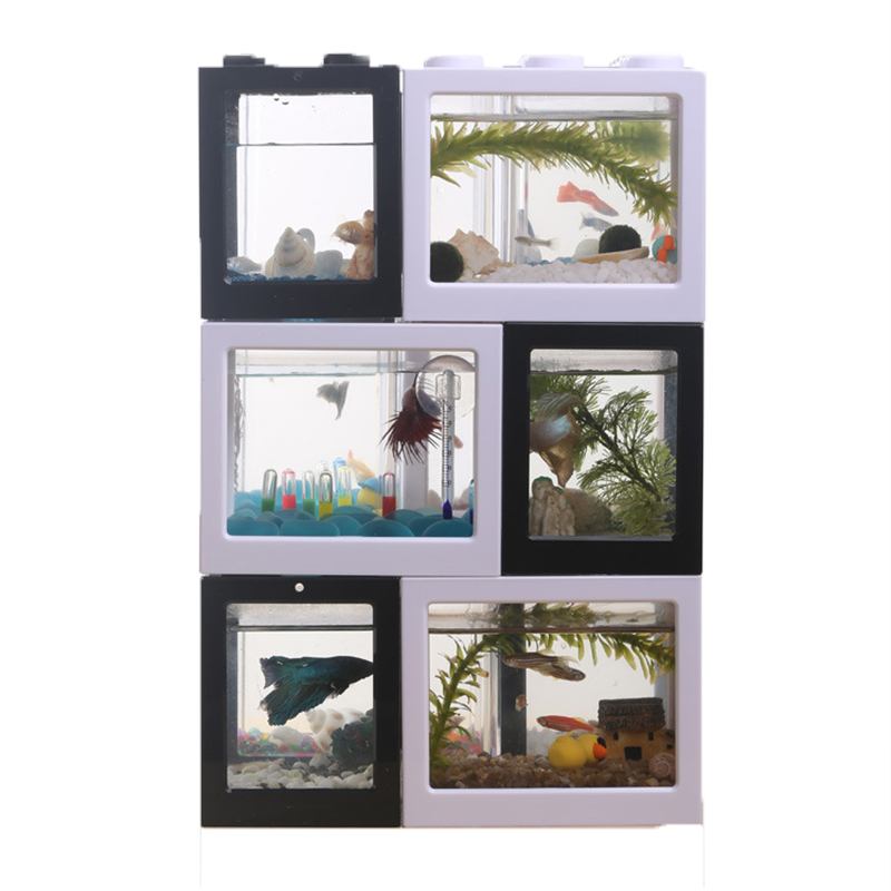 7 Color Mini Aquarium Betta Fi - Aquarium Fish Betta ulasan dan harga