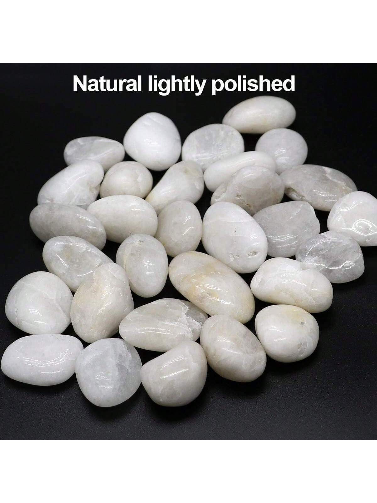 River Rocks Decorative Ornamen - Fish Tank Gravel ulasan dan harga