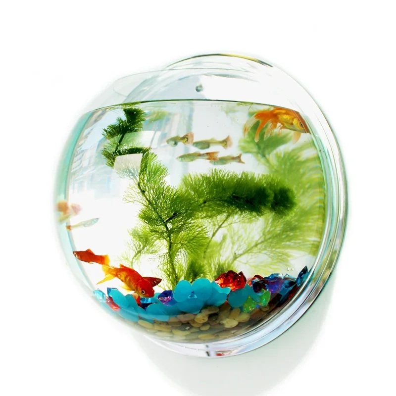 Pinsjar Acrylic Fish Bowl Wall - Betta Fish Tank ulasan dan harga