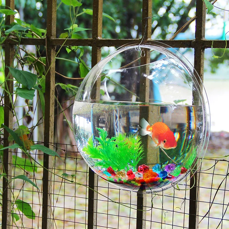 Pinsjar Acrylic Fish Bowl Wall - Betta Fish Tank ulasan dan harga