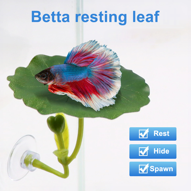 (Ce14)1/5PC Green Leaf Hammock - Aquarium Fish Betta ulasan dan harga