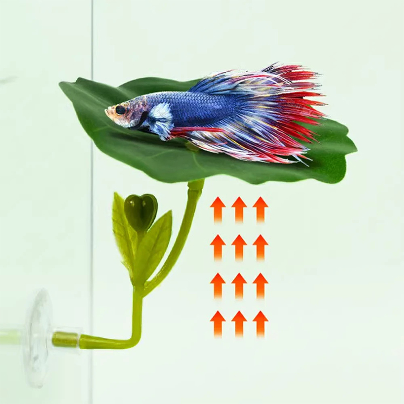 (Ce14)1/5PC Green Leaf Hammock - Aquarium Fish Betta ulasan dan harga