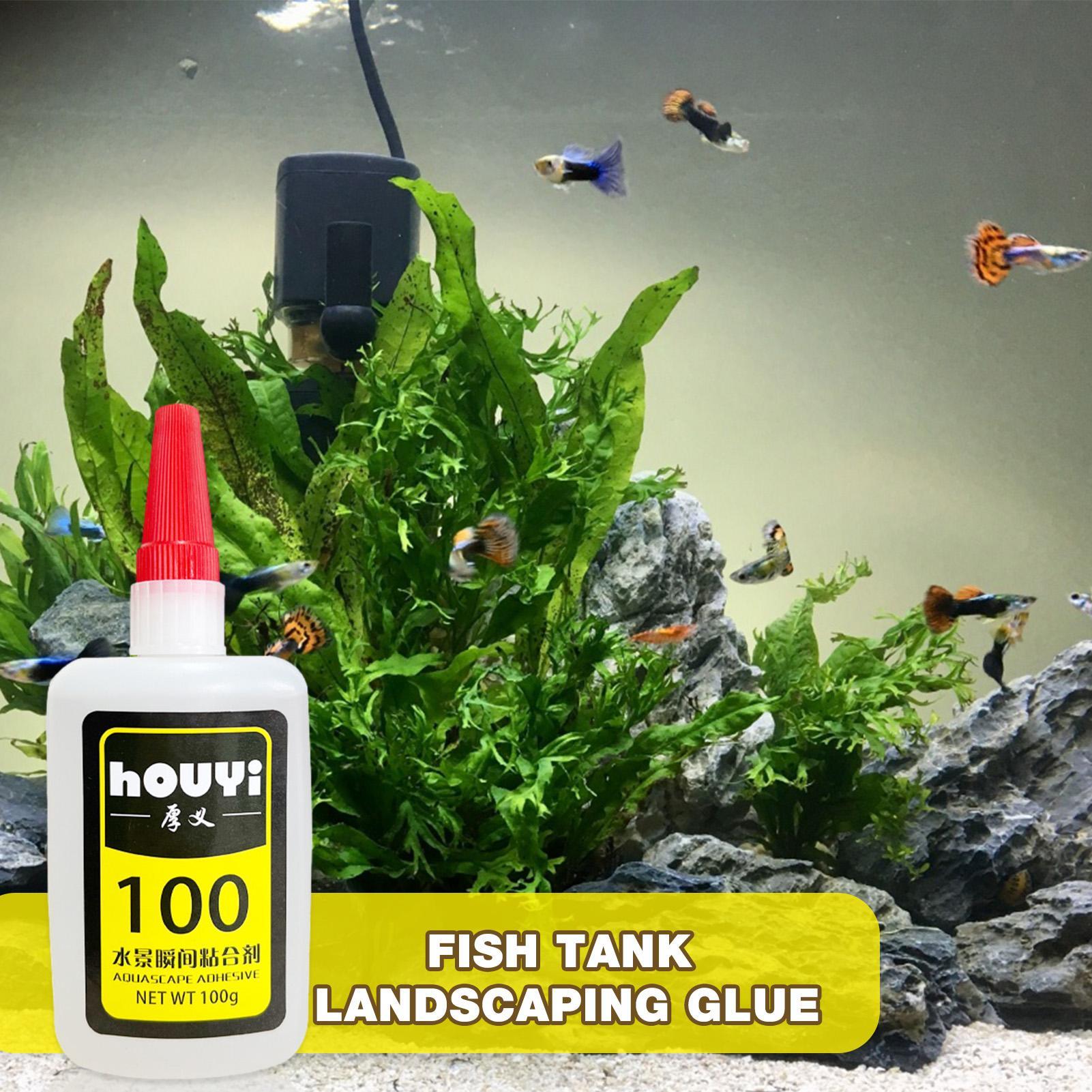 50/100g Clear Instant Glue Aqu - Aquarium Plants ulasan dan harga