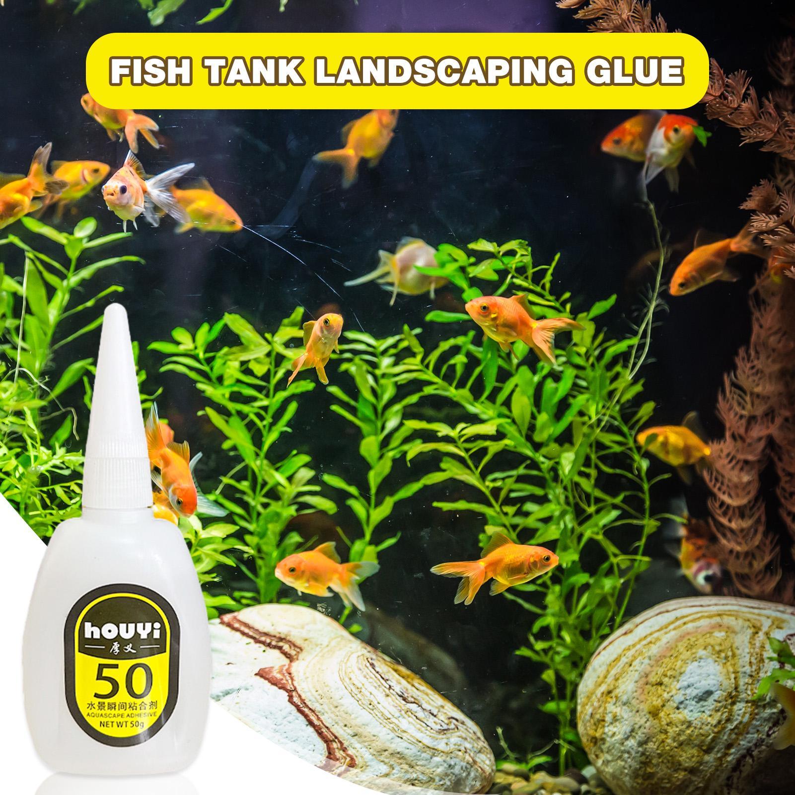 50/100g Clear Instant Glue Aqu - Aquarium Plants ulasan dan harga