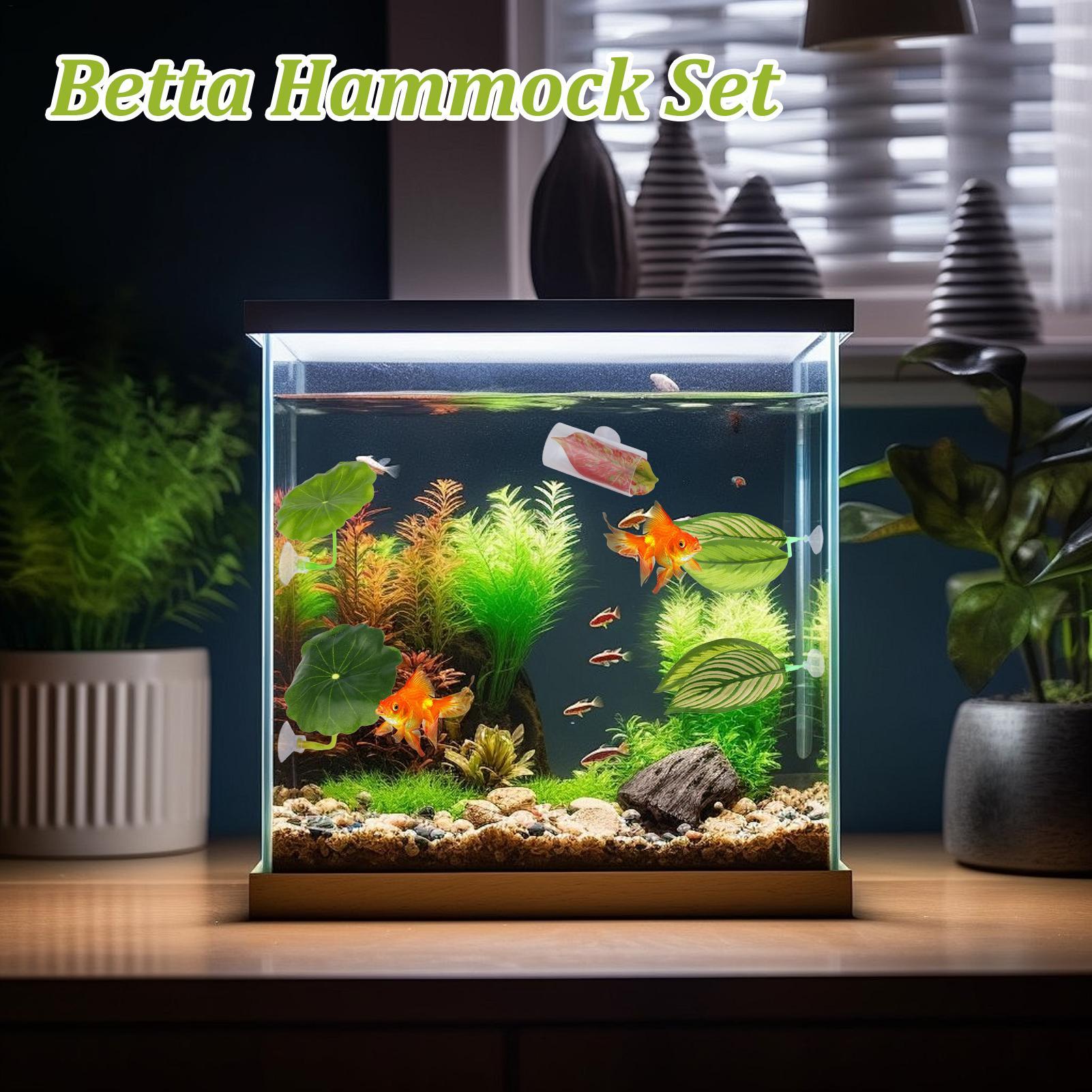 Betta Fish Hammock 5 Pieces Ad - Aquarium Fish Betta ulasan dan harga