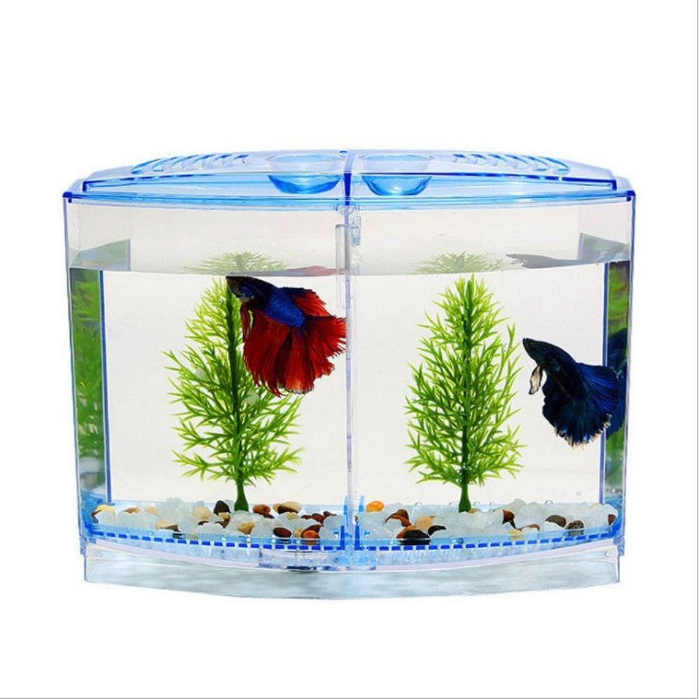 Transparent Betta Fish Tank, D - Aquarium Fish Betta ulasan dan harga
