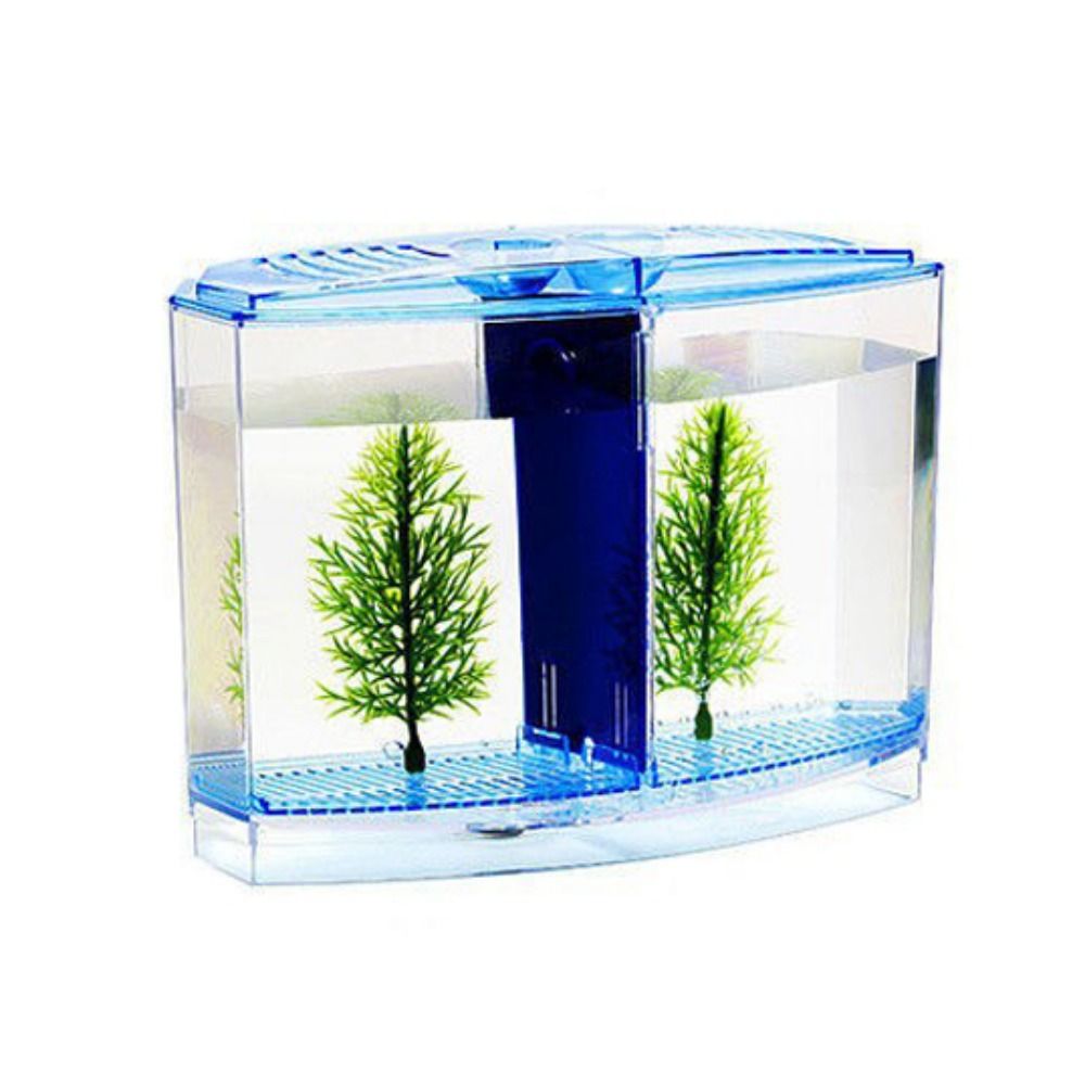 Transparent Betta Fish Tank, D - Aquarium Fish Betta ulasan dan harga