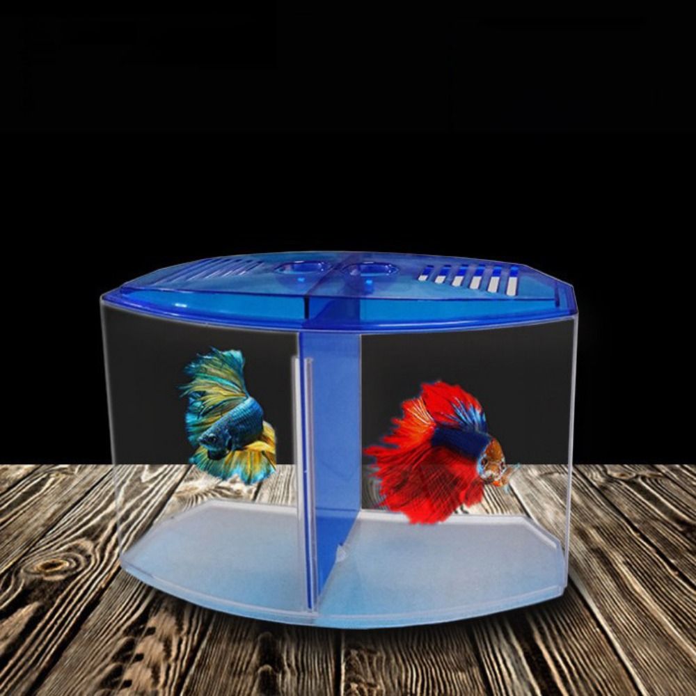 Transparent Betta Fish Tank, D - Aquarium Fish Betta ulasan dan harga