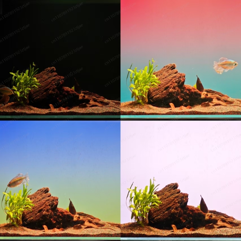 Black Acrylic Aquarium Backgro - Aquarium Light ulasan dan harga