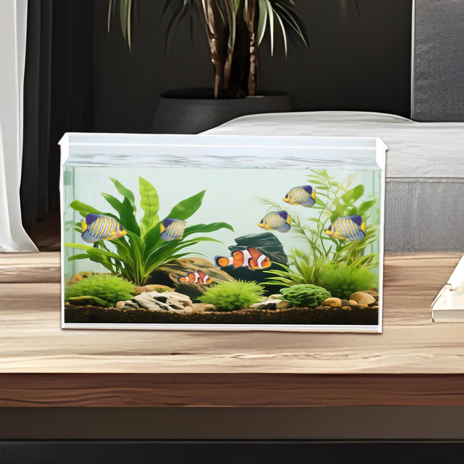 Small Fish Tank Betta Tank Ext - Betta Fish Tank ulasan dan harga