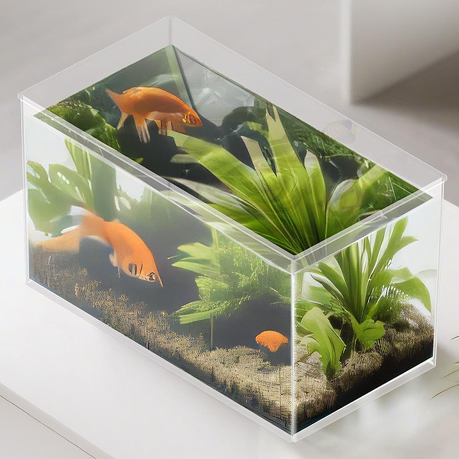 Small Fish Tank Betta Tank Ext - Betta Fish Tank ulasan dan harga