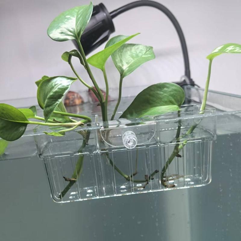 Hydroponic Plant Basket Food G - Aquarium Plants ulasan dan harga