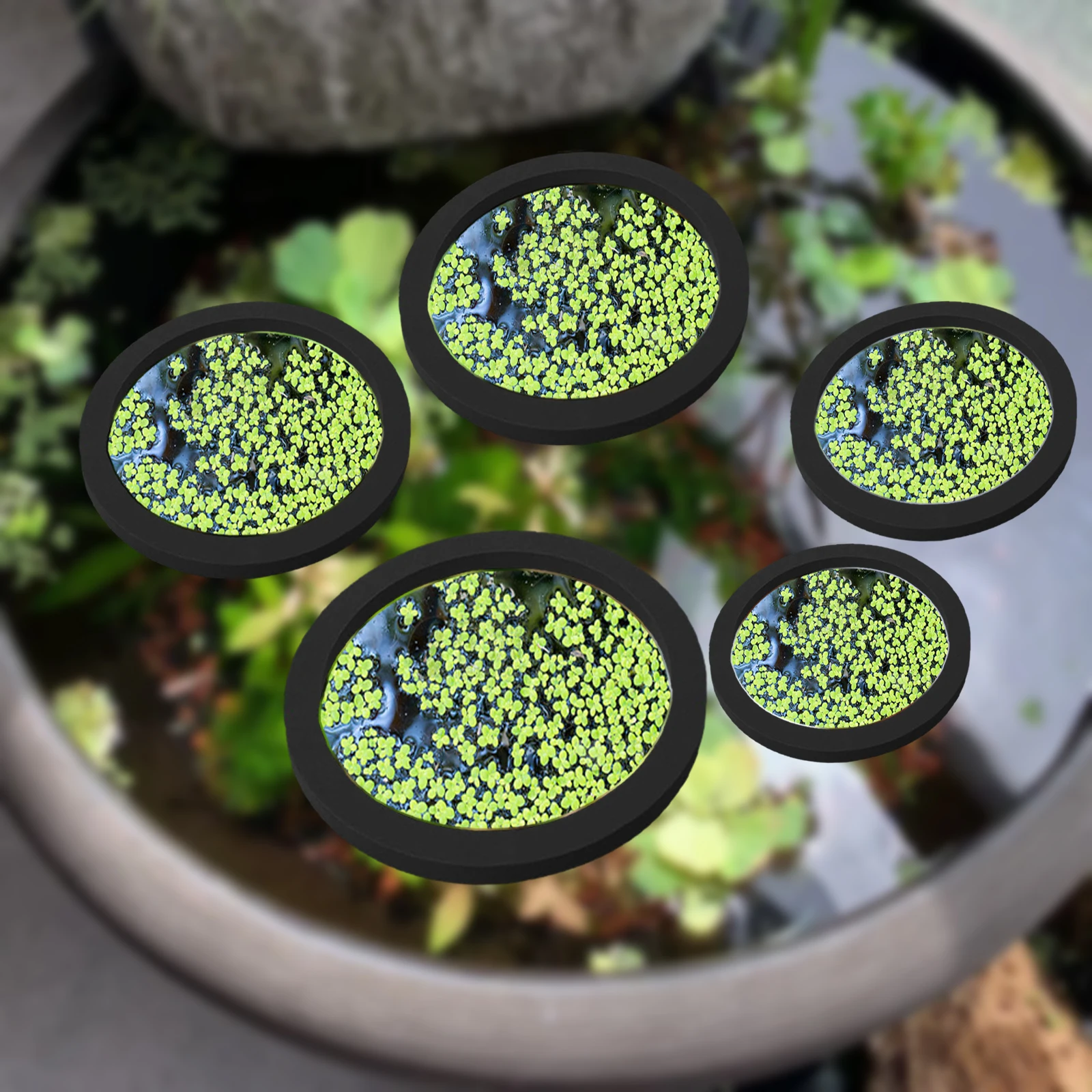 5Pcs EVA Fish Feeding Ring Aqu - Aquarium Fish Tank ulasan dan harga