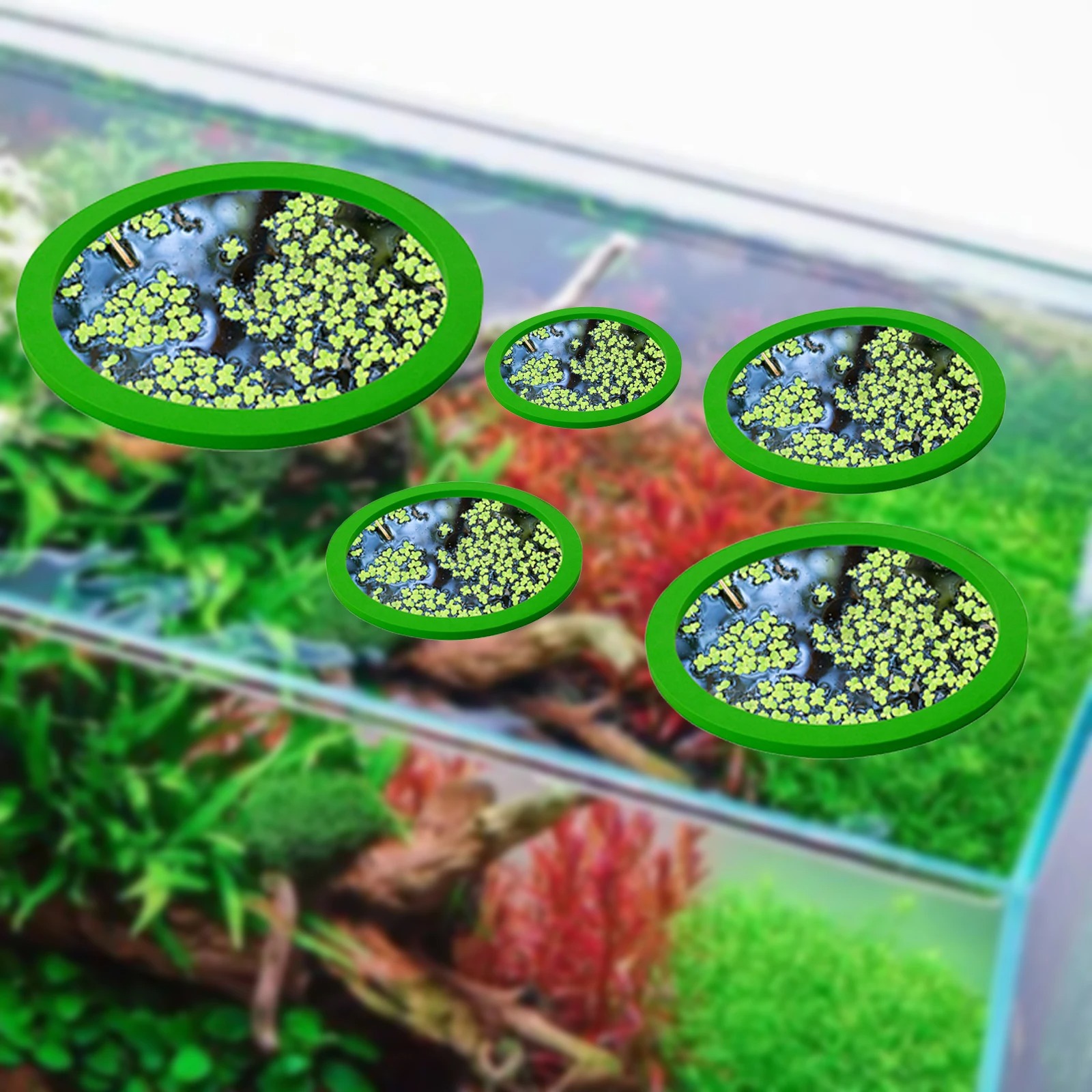 5Pcs EVA Fish Feeding Ring Aqu - Aquarium Fish Tank ulasan dan harga