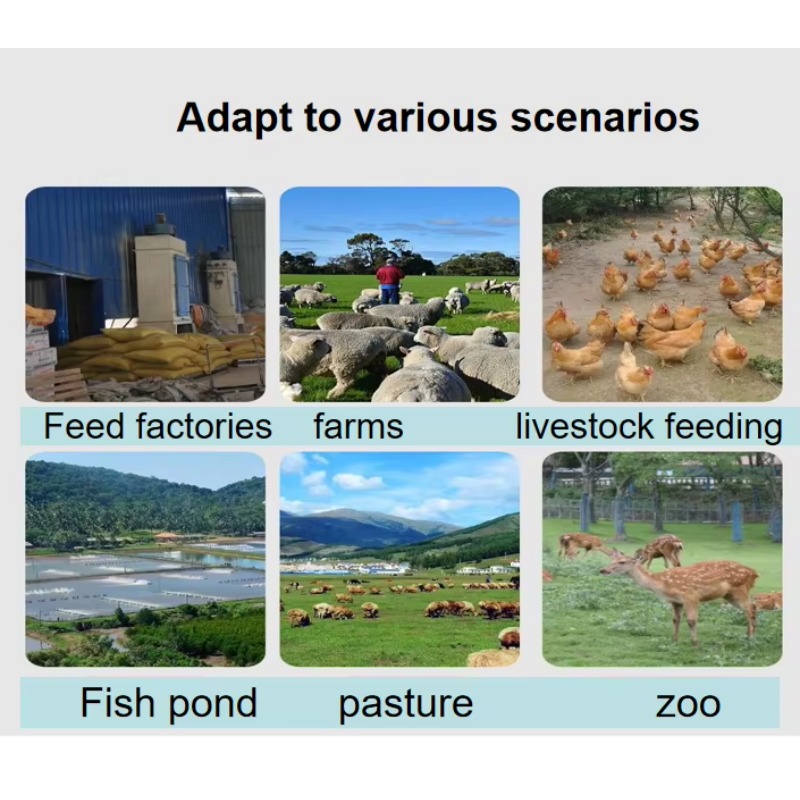Dog Cat Fish Feed Extruder Fee - Fish Food ulasan dan harga