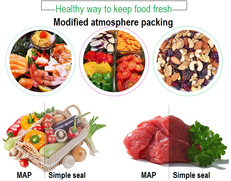 430 Food Vaccum Sealer Traysea - Fish Food ulasan dan harga