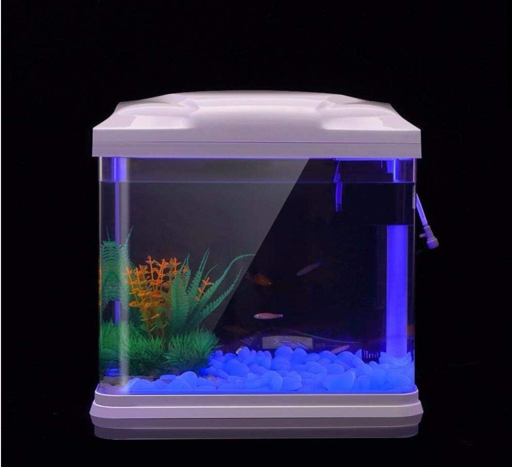 Fish Tank Rocks Glow Blue Pebb - Fish Tank Gravel ulasan dan harga