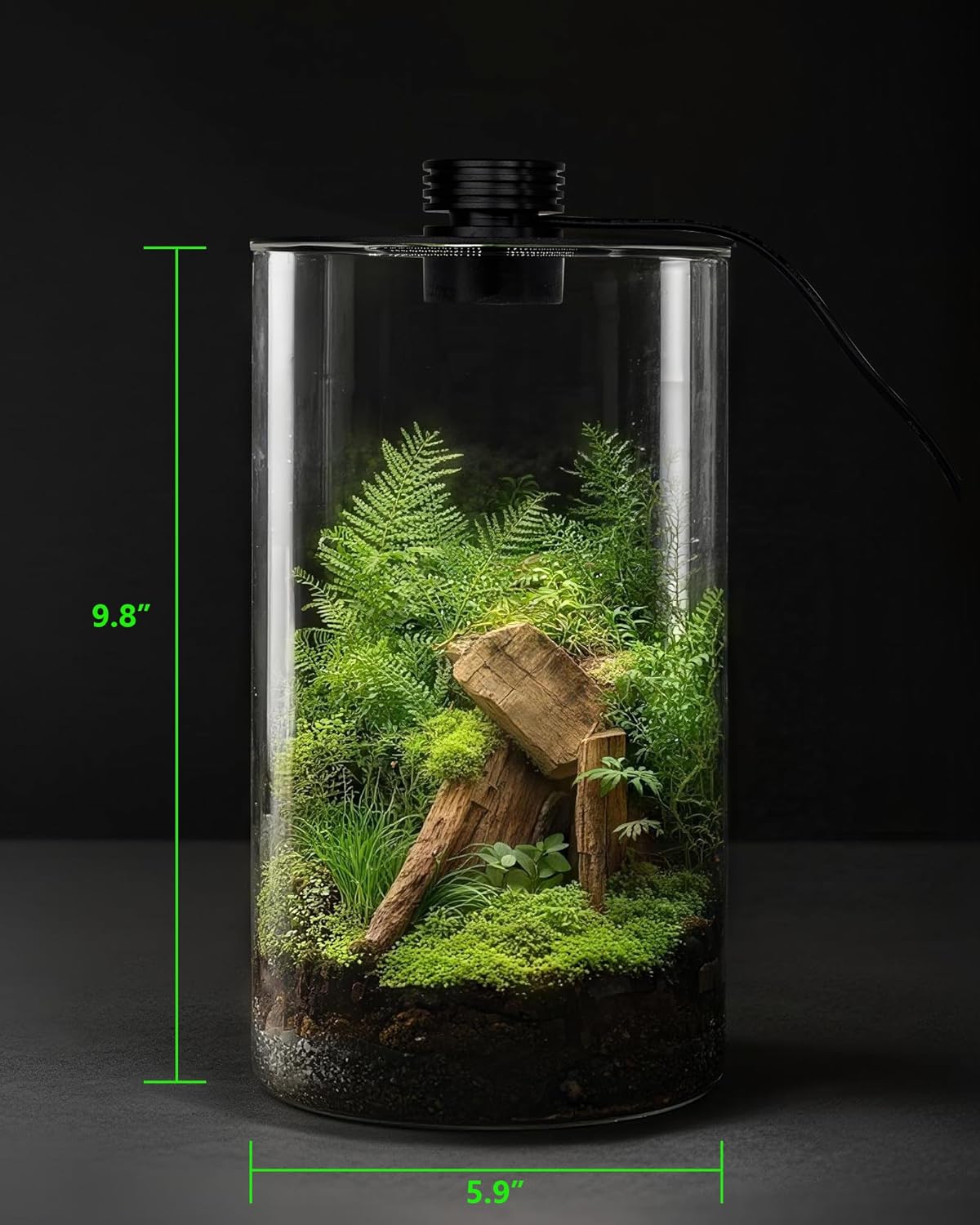 Indoor Glass Terrarium with Gr - Betta Fish Tank ulasan dan harga