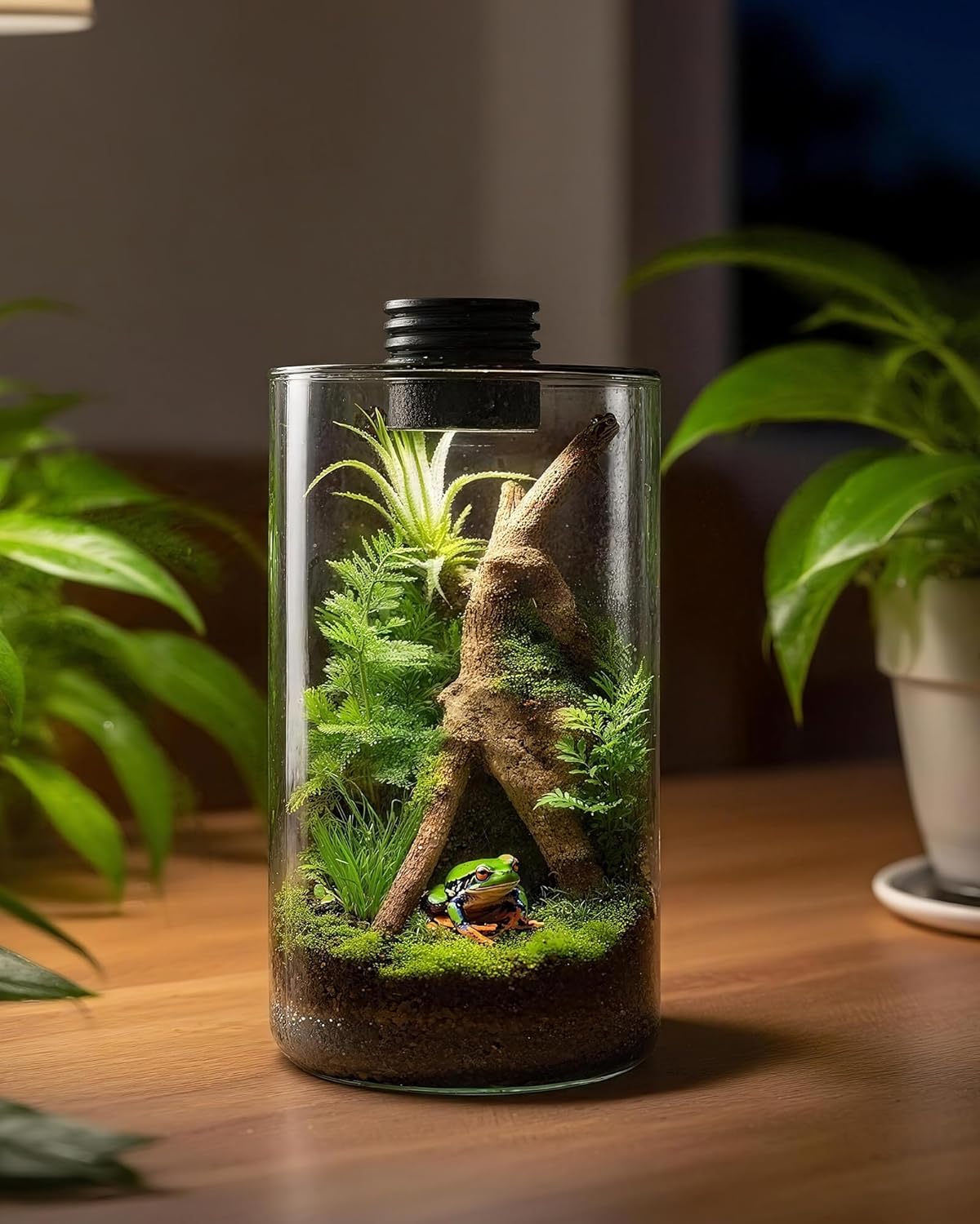 Indoor Glass Terrarium with Gr - Betta Fish Tank ulasan dan harga