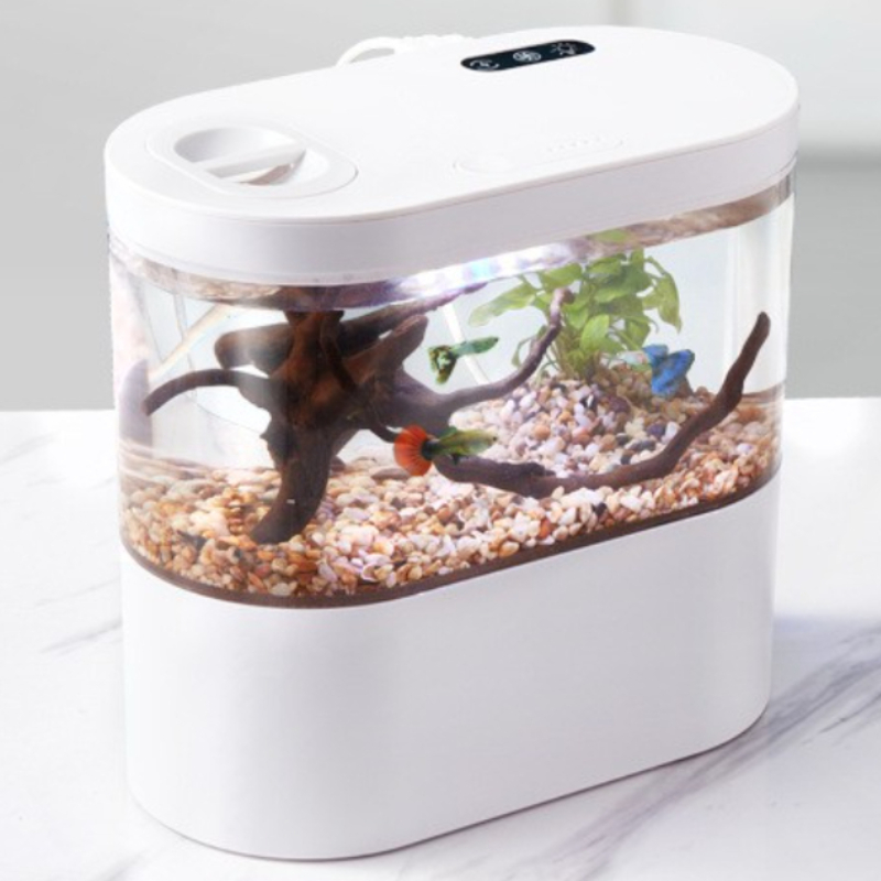 Creative Mini Desktop Fish Tan - Aquarium Fish Betta ulasan dan harga