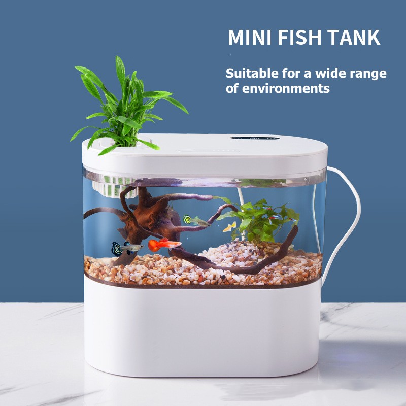 Creative Mini Desktop Fish Tan - Aquarium Fish Betta ulasan dan harga