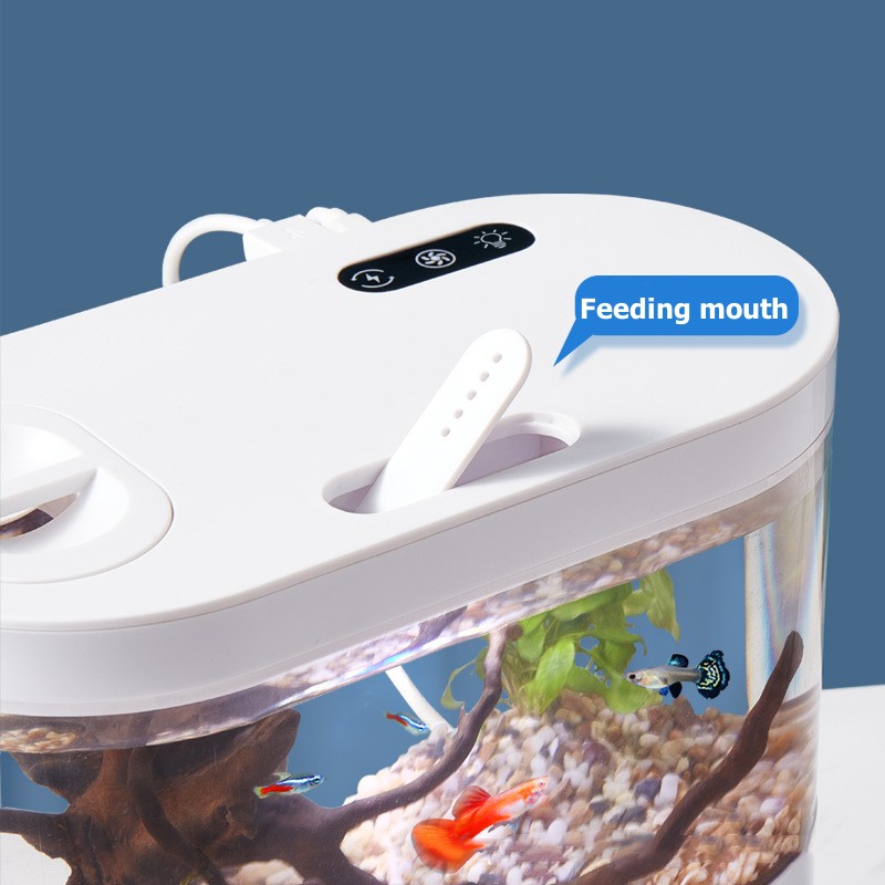 Creative Mini Desktop Fish Tan - Aquarium Fish Betta ulasan dan harga