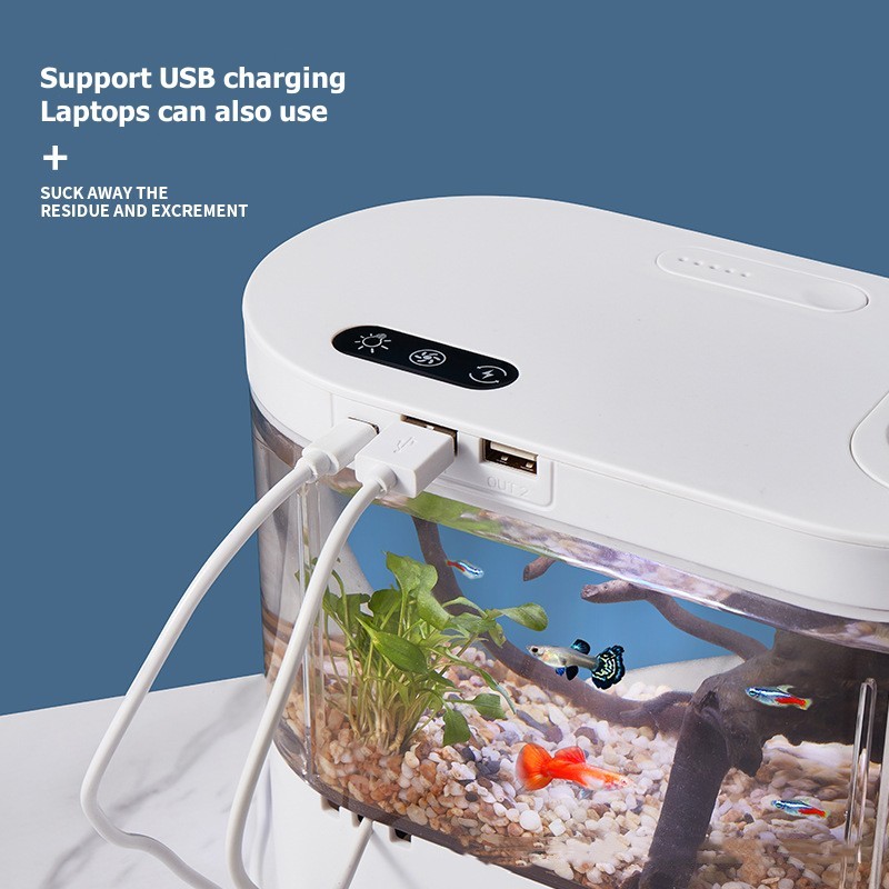 Creative Mini Desktop Fish Tan - Aquarium Fish Betta ulasan dan harga