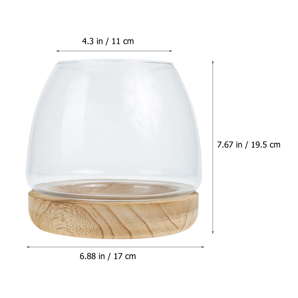1Set Clear Glass Hydroponic Pl - Aquarium Fish Betta ulasan dan harga